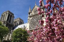Île de la Cité, Notre-Dame, and Louvre Museum transfer included