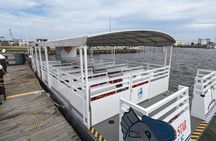 Wild Dolphin Tours and Sunset Cruises in Outer Banks, NC