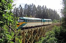 3 Day Private Maule Wine Tour Coastal Train and Gastronomy
