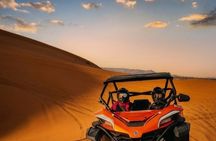 Unique off-Roading Buggy ADV!