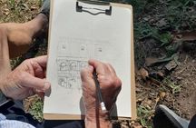Sketch the Colosseum, No drawing skills needed