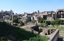 Private Tour of Palatine Hill and Roman Forum in Rome