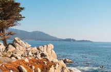 17 Mile Drive eBike Tour in Monterey