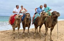 Tangier Private Luxury Tour: Highlights & Camel Ride