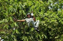 La Fortuna Zipline with Volcano Hike and Hanging Bridges