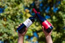 Private Maule Wine Experience Erasmo Winery and Lunch