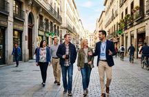 Prado Museum and Historic Madrid Private Walking Tour