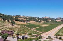 Paso Robles 3-Winery Tour with Picnic Lunch and Tastings