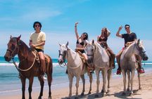 Tour a Caballo por la Selva y la Playa