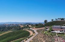 Paso Robles 3 Winery Tour with Lunch