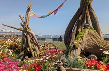 Yokohama City Highlights Tour