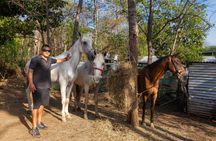 Conchal Beach Horseback Riding - 1hr 30min Guided Tour