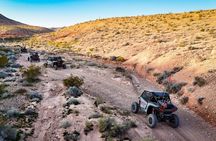 Guided Mojave Desert Off Road RZR Adventure