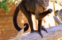 Monkey House VIP Animal Sanctuary Experience