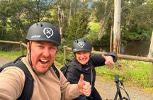 Yarra Valley Rail Trail e-Bike Adventure eXperience, Wine & Lunch