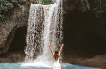 Ubud: Waterfalls, Temple & Rice Terrace Day Tour