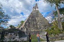 Excursion to Tikal from Flores or Mayan World Airport