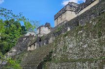 Excursion to Tikal from Flores or Mayan World Airport