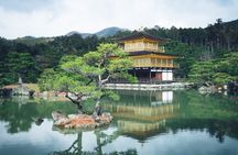 Luxury Kyoto Private Alphard Tour Arashiyama Kinkaku-ji Inari