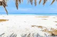 4-Day Amboseli Safari and Diani Beach Escape by SGR from Nairobi