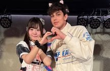 Akihabara Private Tour: Anime, Pokemon, Maid Café & Culture