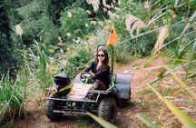Hanoi Self Drive Off Road Buggy Forest Escape Adventure