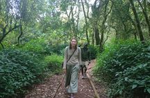 Kilimanjaro Climb 8 Days Lemosho Route Tour Package