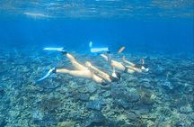 Explore Sesoko Island with Private Snorkeling Tour