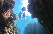 Explore Sesoko Island with Private Snorkeling Tour