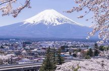 Mount Fuji Private Tour from Tokyo with English Speaking Driver