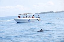 Dolphin Swim with Crystal Rock and BBQ Lunch in Mauritius