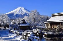 Mount Fuji Private Tour from Tokyo with English Speaking Driver