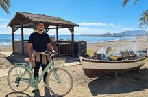 Malaga Bike Tour: Fresh Grilled Sardines & Beachside Tasting