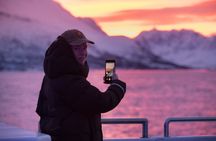 Sustainable Whale Watching from Tromsø Catamaran Adventure