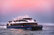 Sustainable Whale Watching from Tromsø Catamaran Adventure