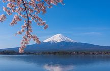 Mount Fuji Private Tour from Tokyo with English Speaking Driver