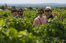 A Day in Provence Small Group Tour from Marseille