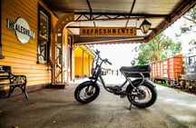Healesville e-Ride, Bar Hop and Dinner eXperience