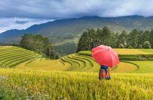 Vietnam Signature 13 Days - Hanoi, Sapa, Halong Bay, Ho Chi Minh