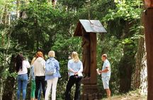 Group Tour for Cruise Passengers: Curonian Spit & Klaipeda