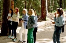 Group Tour for Cruise Passengers: Curonian Spit & Klaipeda
