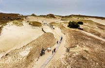 Curonian Spit (Neringa) Day Trip from Klaipeda – Small Group Tour