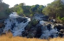3Day Awash National Park Wildlife Safari with Hot Springs