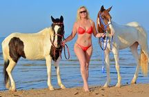 Horse Ride 3Hour, Desert, Swimming & Transfers in Hurghada