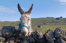 El Hierro Private Walking Tour Adventure