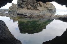 Private Tour Discover El Hierro Forests, Viewpoints or Snorkeling