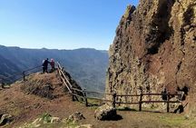 Private Tour Discover El Hierro Forests, Viewpoints or Snorkeling