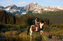 2-Hour Horseback Trail Ride in Seward