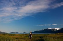2-Hour Horseback Trail Ride in Seward