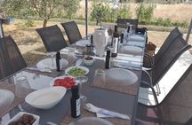 Oliveoil Seminar with Tasting in Metaggitsi Chalkidiki